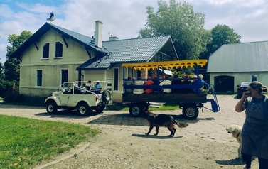 Piknik Seniora 2026 194