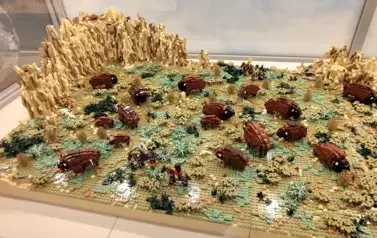 475761895_1182905123837461_4207936801064332573_n