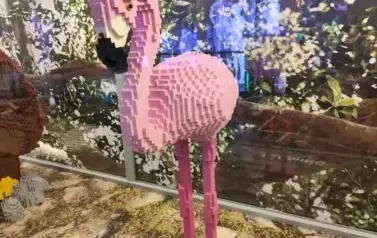 475593229_1182787873849186_8564932665003086861_n