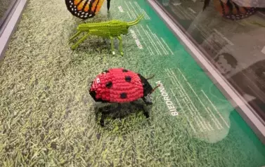 474857540_1182791357182171_9077294807780293067_n