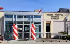 DmTJ2831