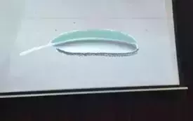 504382951_1315307677263871_1538996286860961787_n