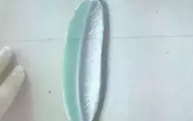 511980536_1315307763930529_968920588935842209_n