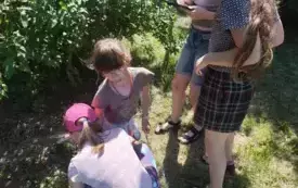 514860850_1315308043930501_2730935268299133600_n