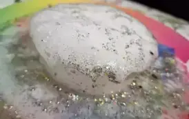 474948354_1178401137621193_947075201318794665_n