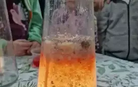 474533659_1178401130954527_2847725269245376728_n